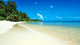 Techno Wlp Tropical Sea And Beach Wallpaper