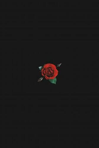 Dark Aesthetic Rose Blurry Wallpaper