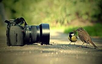 Camera Wallpaper X