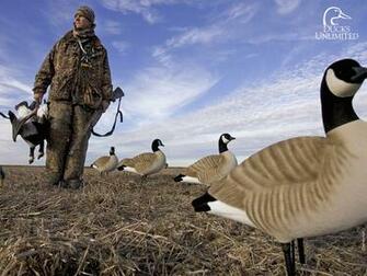 Duck Hunting Background For Computer Du Wallpaper