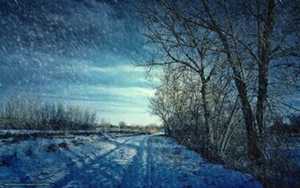 Winter Scenes Wallpaper