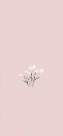 Redirecting In iPhone Wallpaper Plants Minimalist