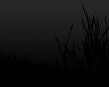 Black Wallpaper