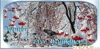 Addicted Winter Wallpaper For Android Phones Design Knock