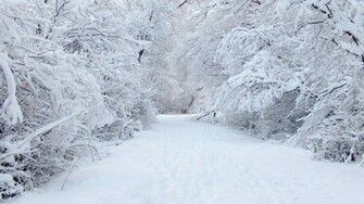 This Is My Winter HD Apple Mac Desktop Wallpaper For You
